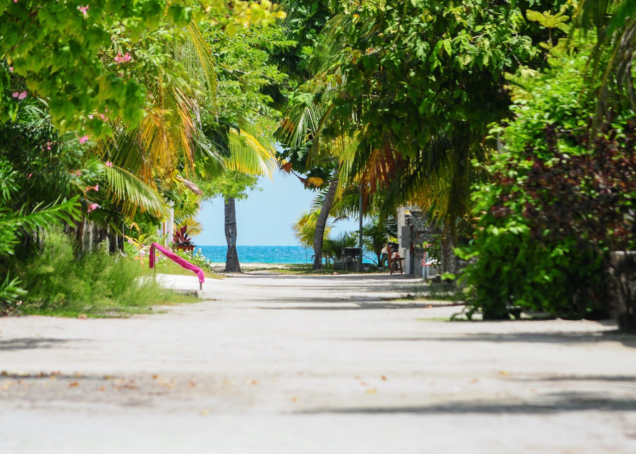 A shot of a sandy beach path that leads to the blue ocean surrounded by lush greenery in the Maldives 