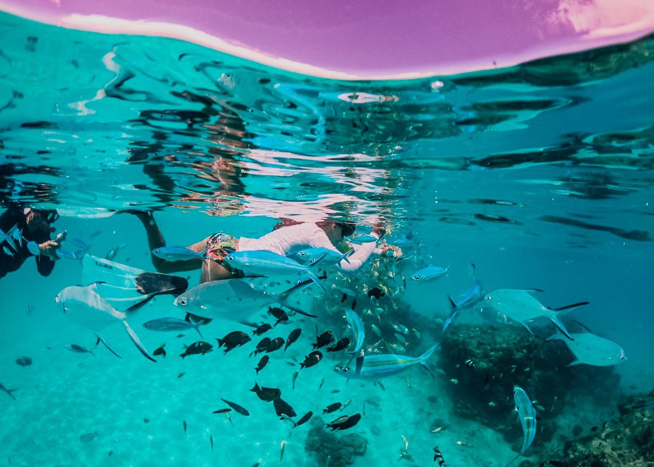 An underwater shot of someone snorkelling the clear blue sea surrounded by small fish in the Maldives 